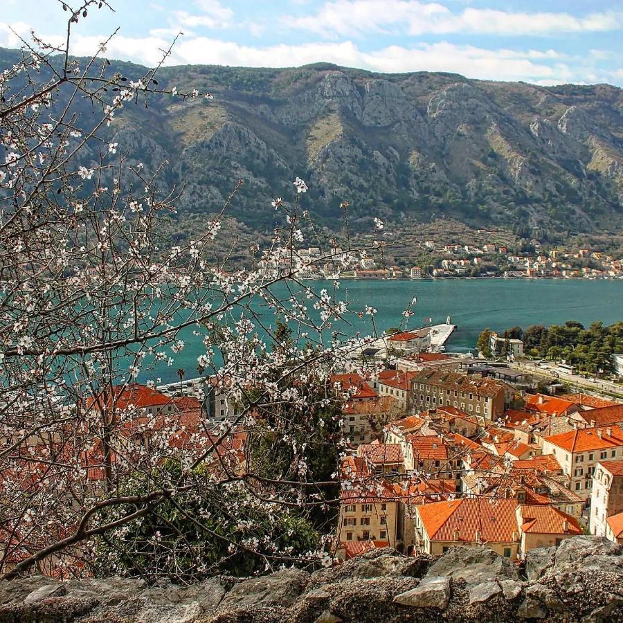 Apartament Old Town Kotor Square Zewnętrze zdjęcie